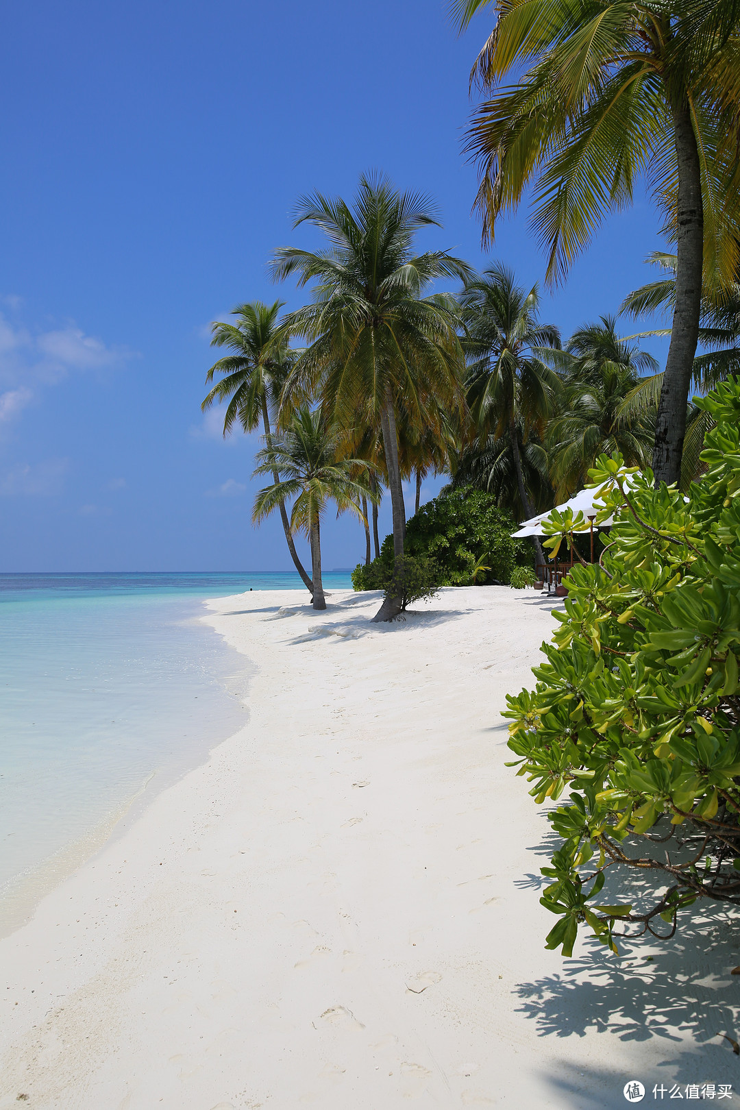 马尔代夫| Mirihi Island — 难说再见，我们的小天堂