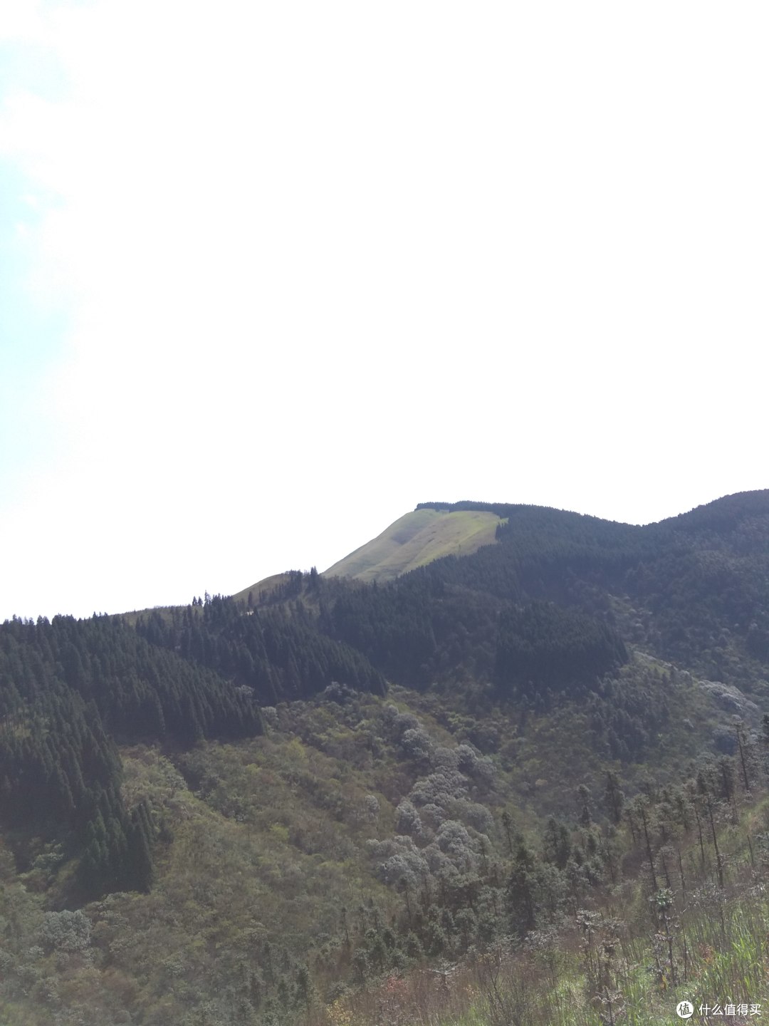 #热征##过五一#毕业前夕再登武功山 多图