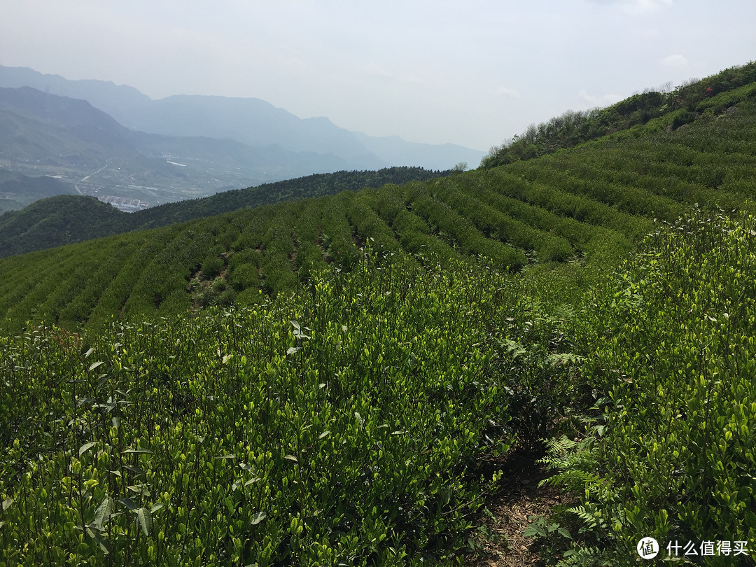 2017年的第一徒，王位山徒步之旅