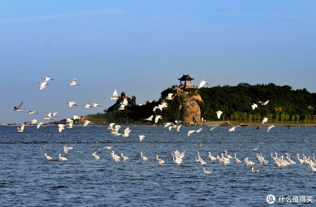 不接地氣的北戴河君:吐槽一次坑爹的北戴河51之旅_國內旅遊_什麼值得