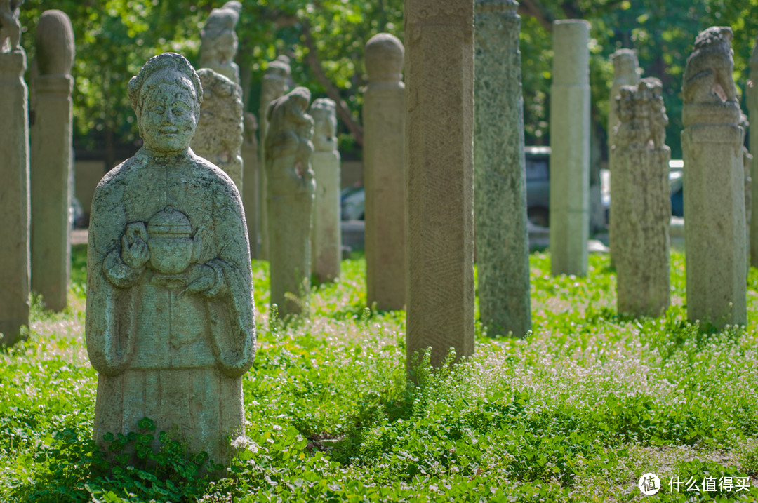 清静幽美的 荐福寺小雁塔