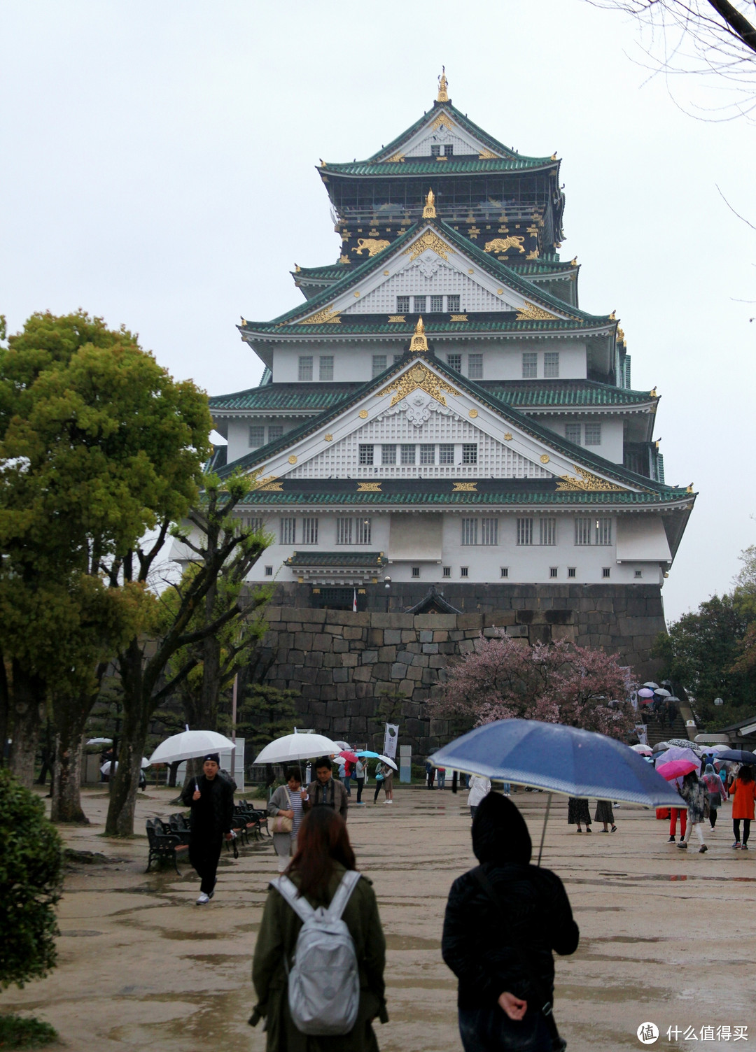 大阪、京都篇，多图杀猫