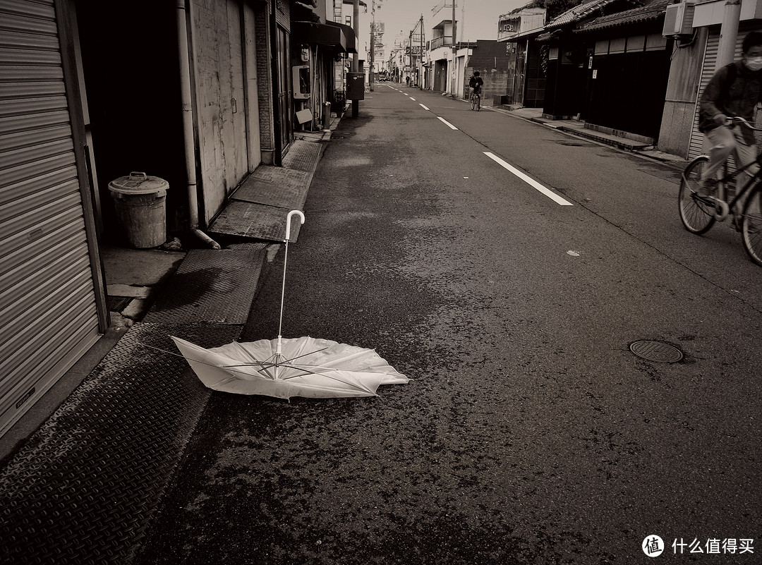 大阪、京都篇，多图杀猫