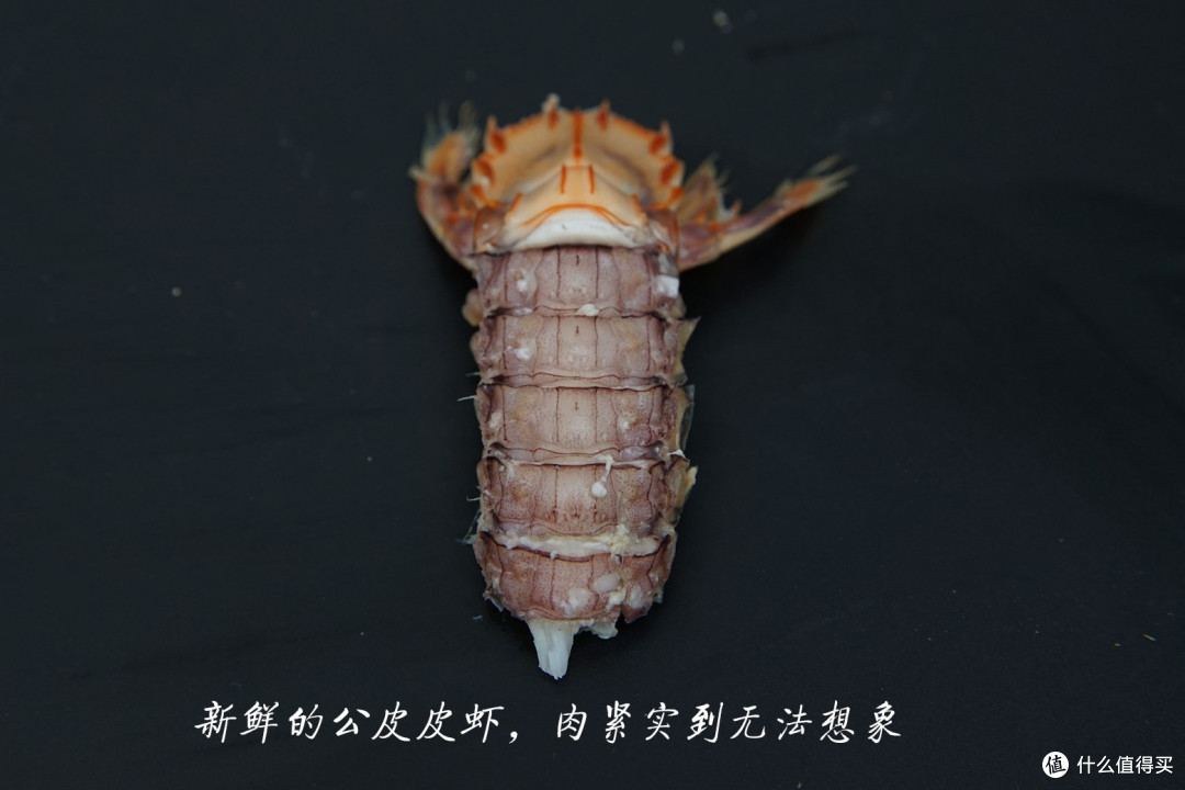 如何辨别新鲜的皮皮虾 黄蚬子处理方法 什么值得买