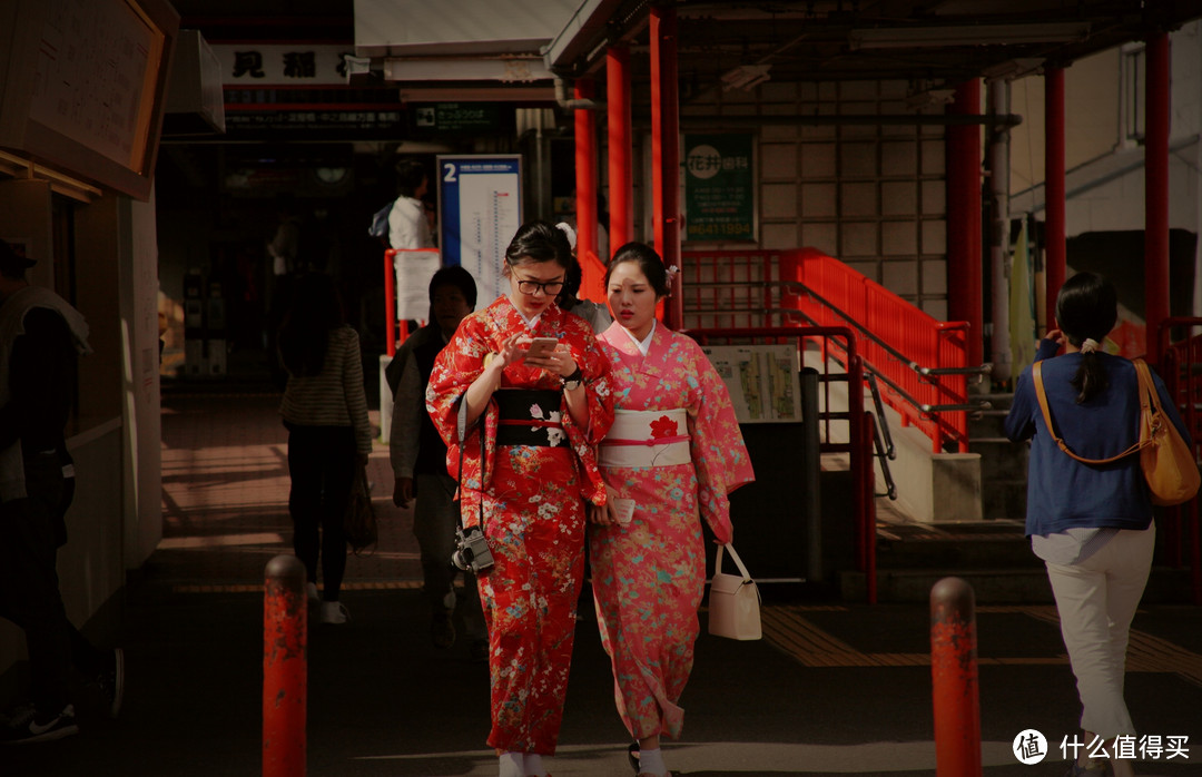 大阪、京都篇，多图杀猫