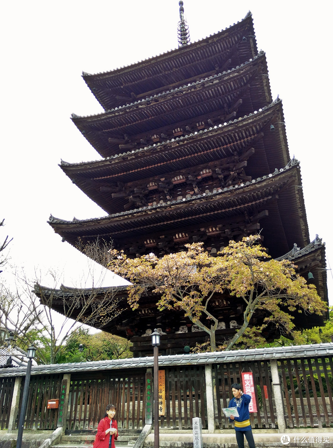 大阪、京都篇，多图杀猫