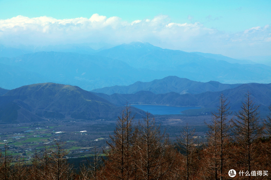 富士山、东京篇，多图杀猫