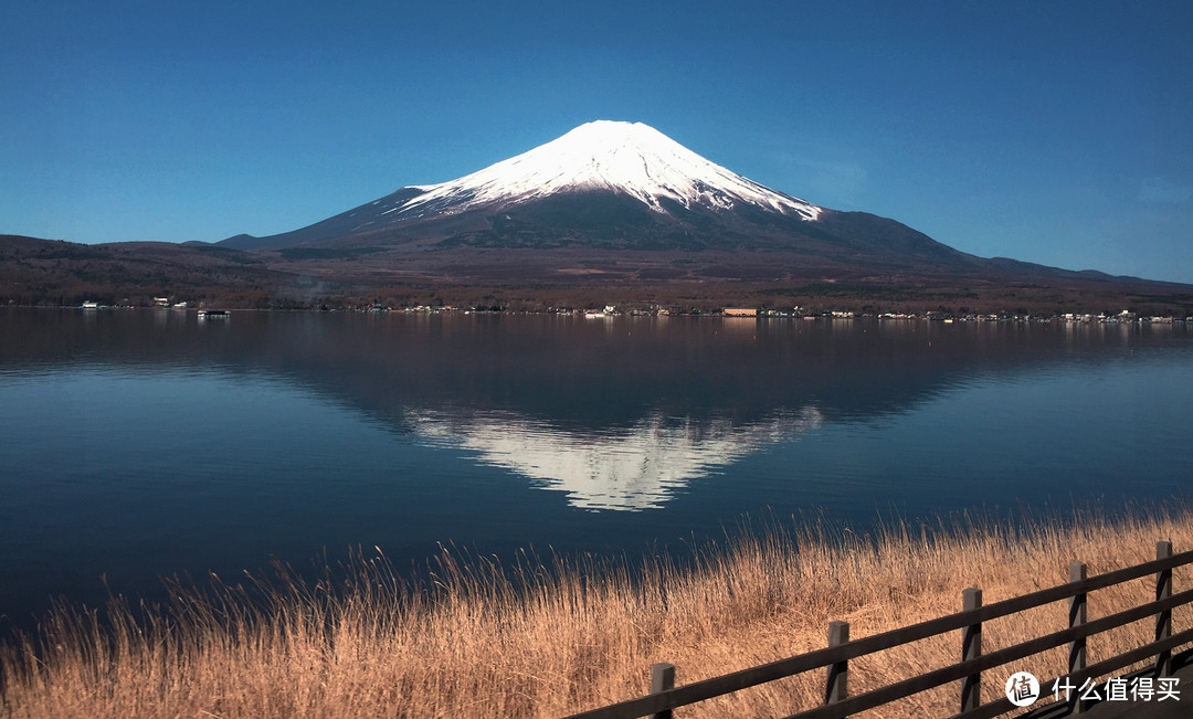 富士山、东京篇，多图杀猫