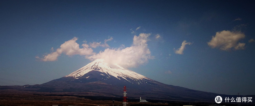 富士山、东京篇，多图杀猫