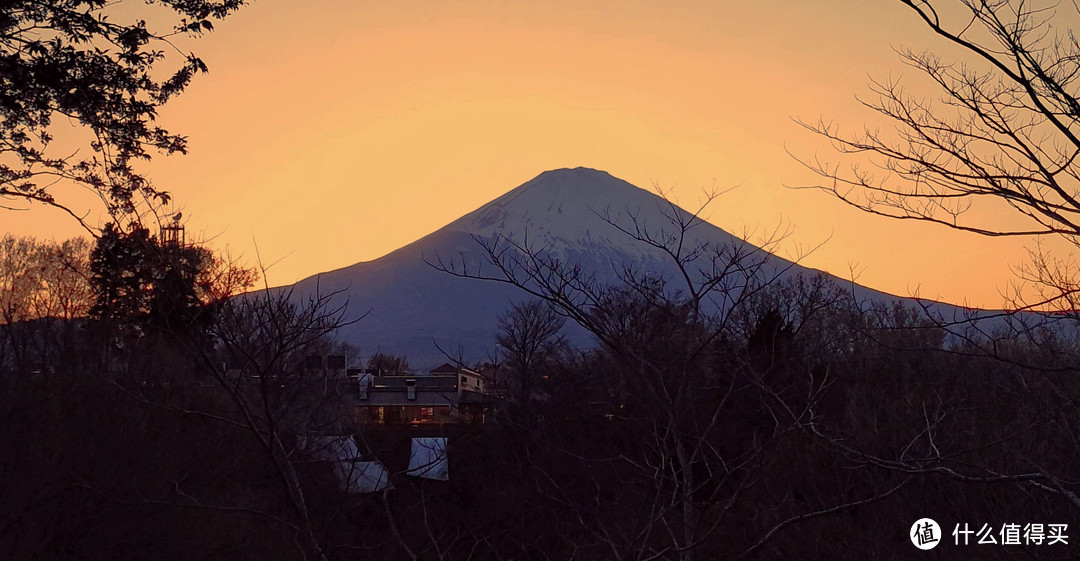 富士山、东京篇，多图杀猫