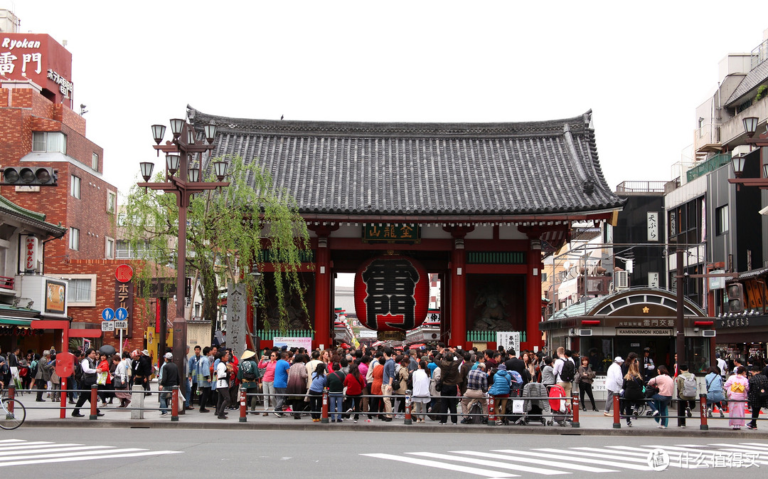 富士山、东京篇，多图杀猫