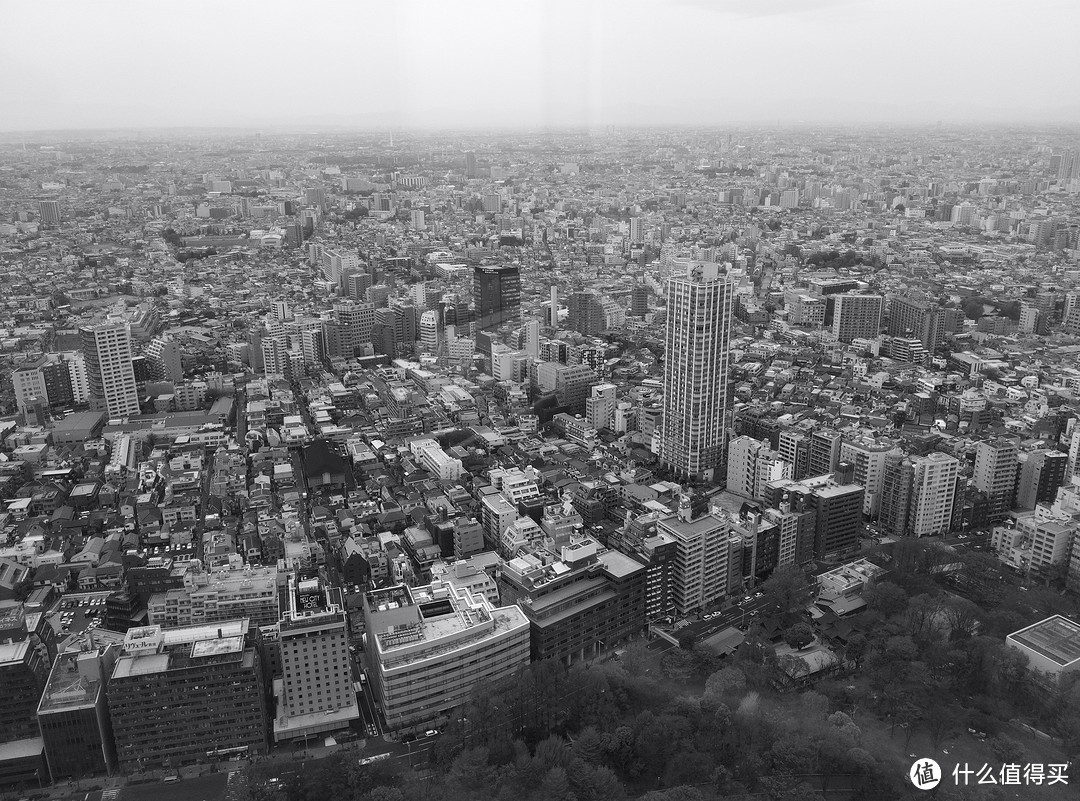 富士山、东京篇，多图杀猫