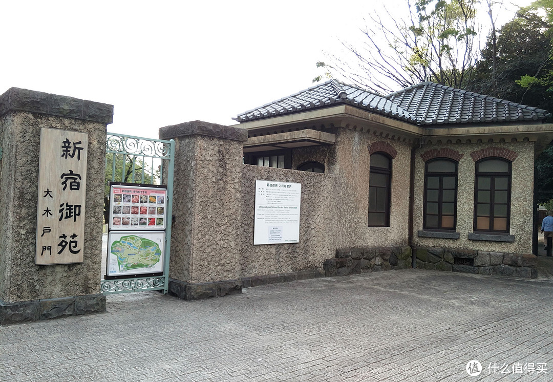 富士山、东京篇，多图杀猫