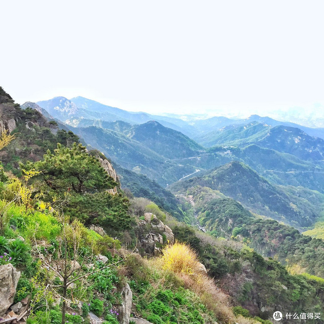 #热征##过五一#依山镇海，万象归怀之山东小记-夜登泰山，闪游青岛