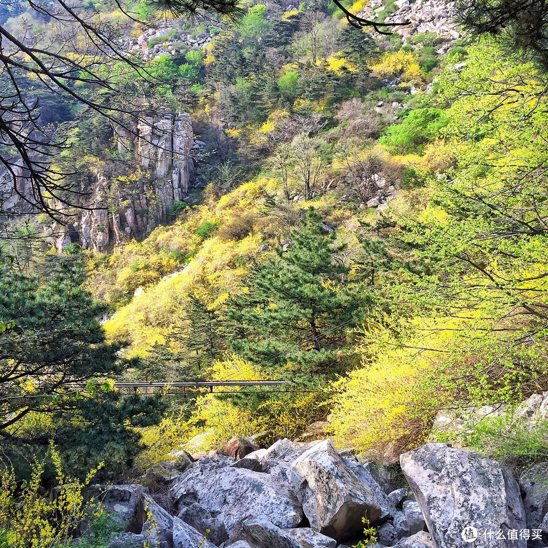 #热征##过五一#依山镇海，万象归怀之山东小记-夜登泰山，闪游青岛