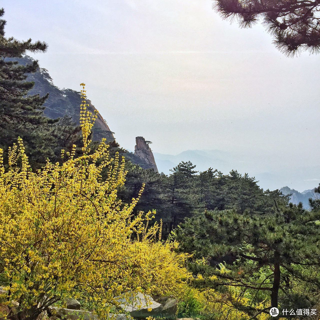 #热征##过五一#依山镇海，万象归怀之山东小记-夜登泰山，闪游青岛