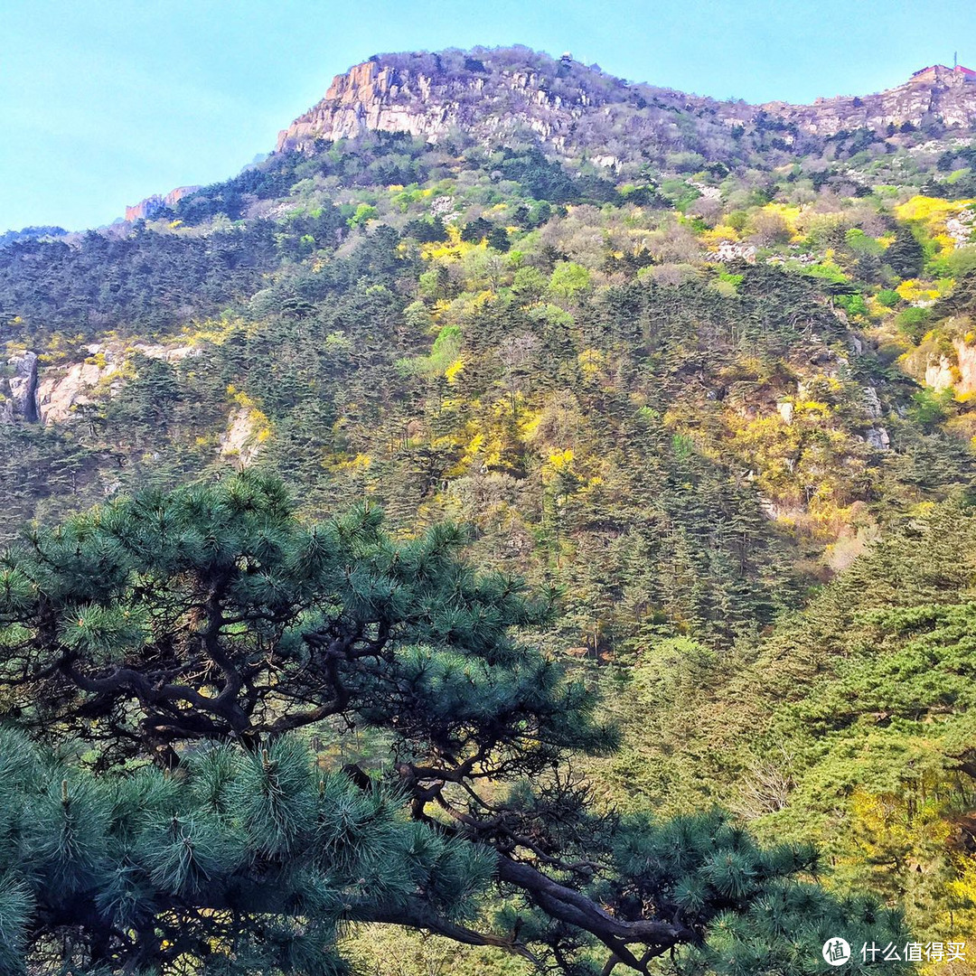 #热征##过五一#依山镇海，万象归怀之山东小记-夜登泰山，闪游青岛