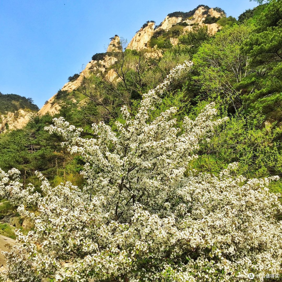 #热征##过五一#依山镇海，万象归怀之山东小记-夜登泰山，闪游青岛