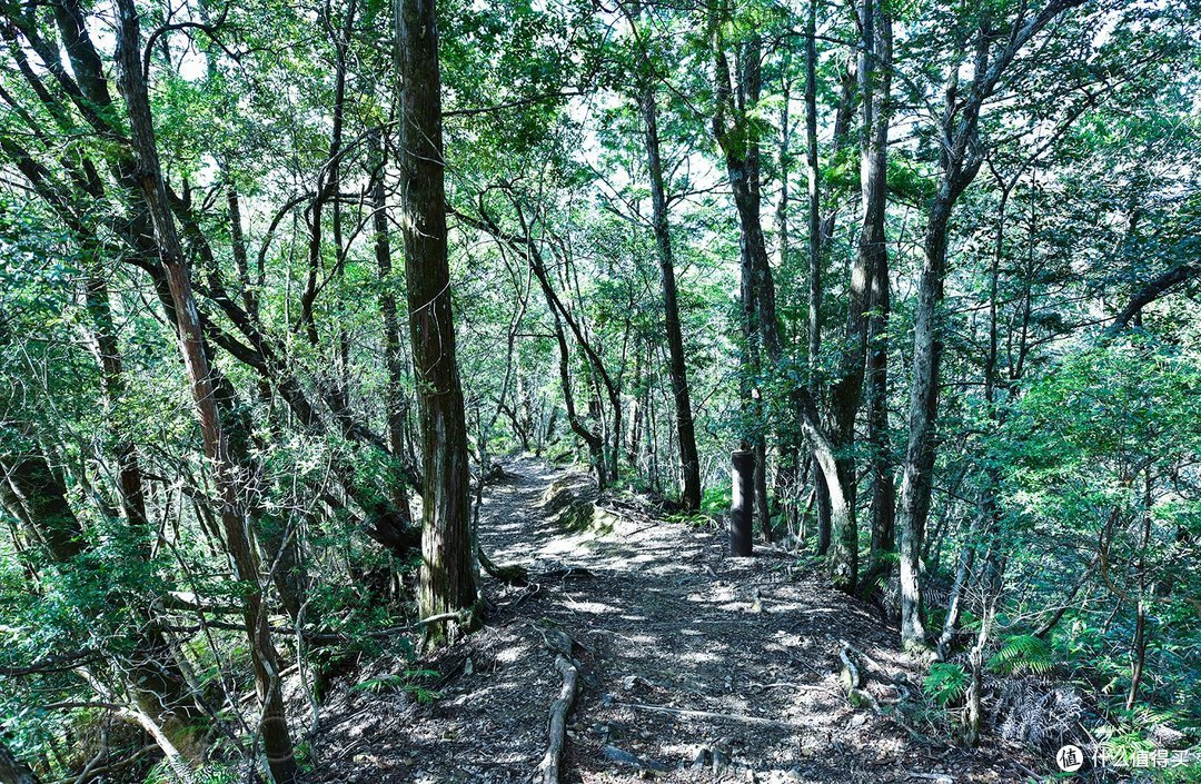 Day.4 熊野古道-熊野本宫大社-熊野那智大社-大阪