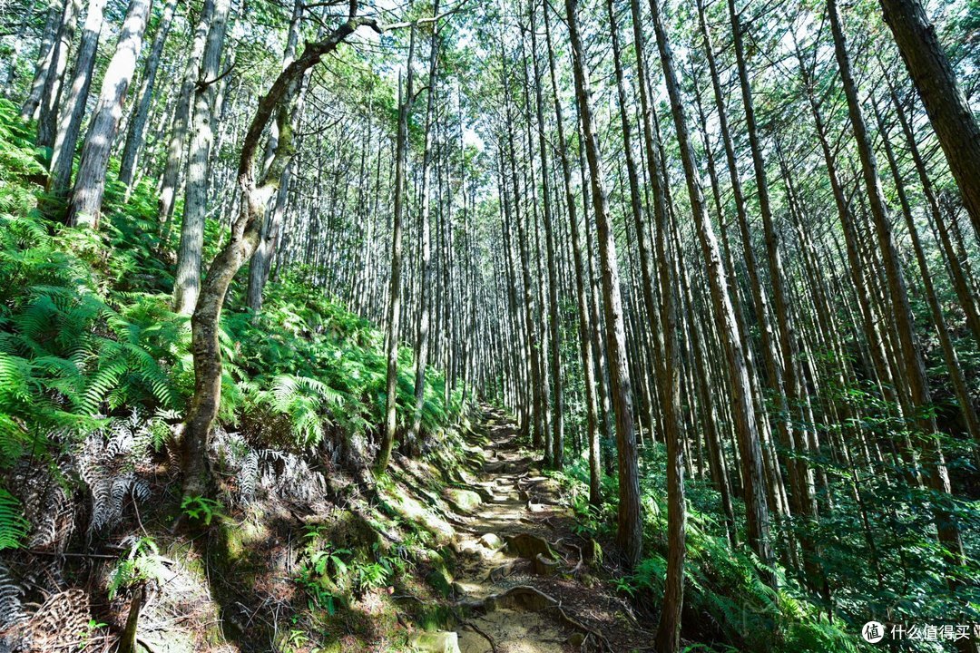 Day.4 熊野古道-熊野本宫大社-熊野那智大社-大阪