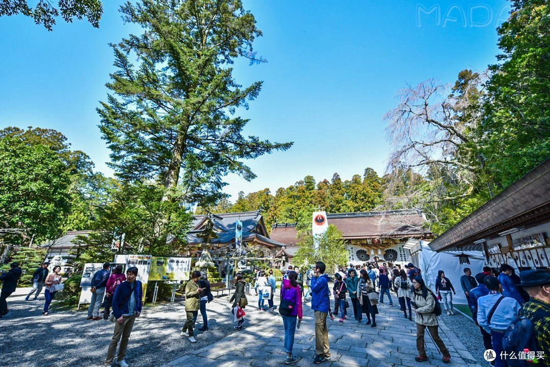 Day.4 熊野古道-熊野本宫大社-熊野那智大社-大阪