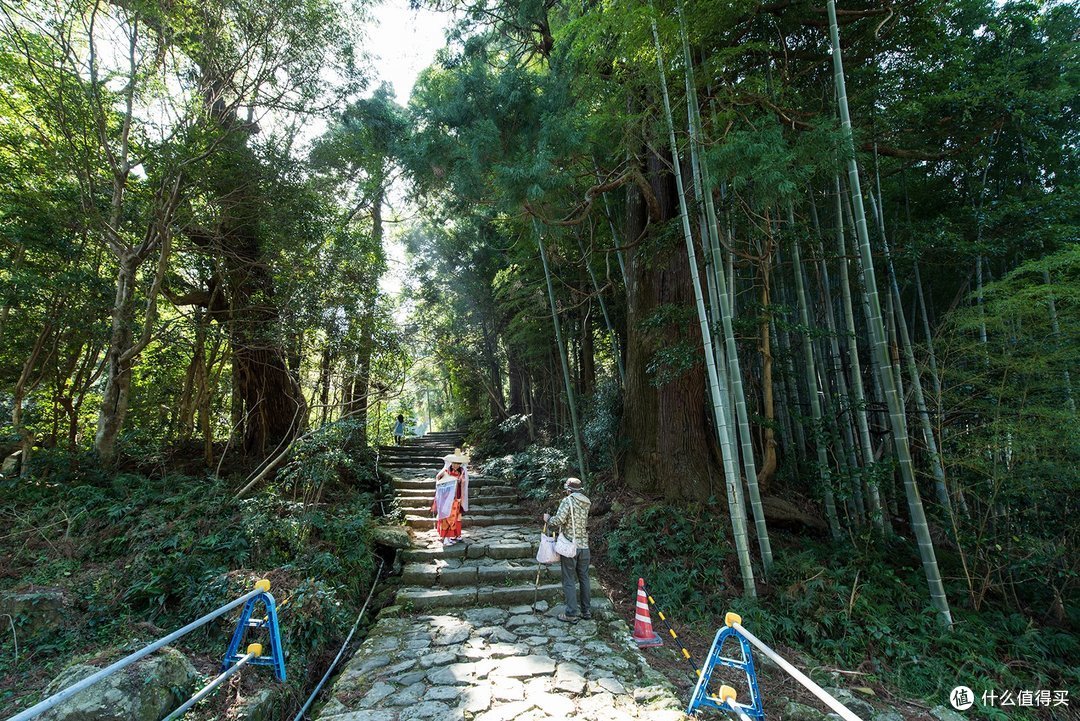 Day.4 熊野古道-熊野本宫大社-熊野那智大社-大阪