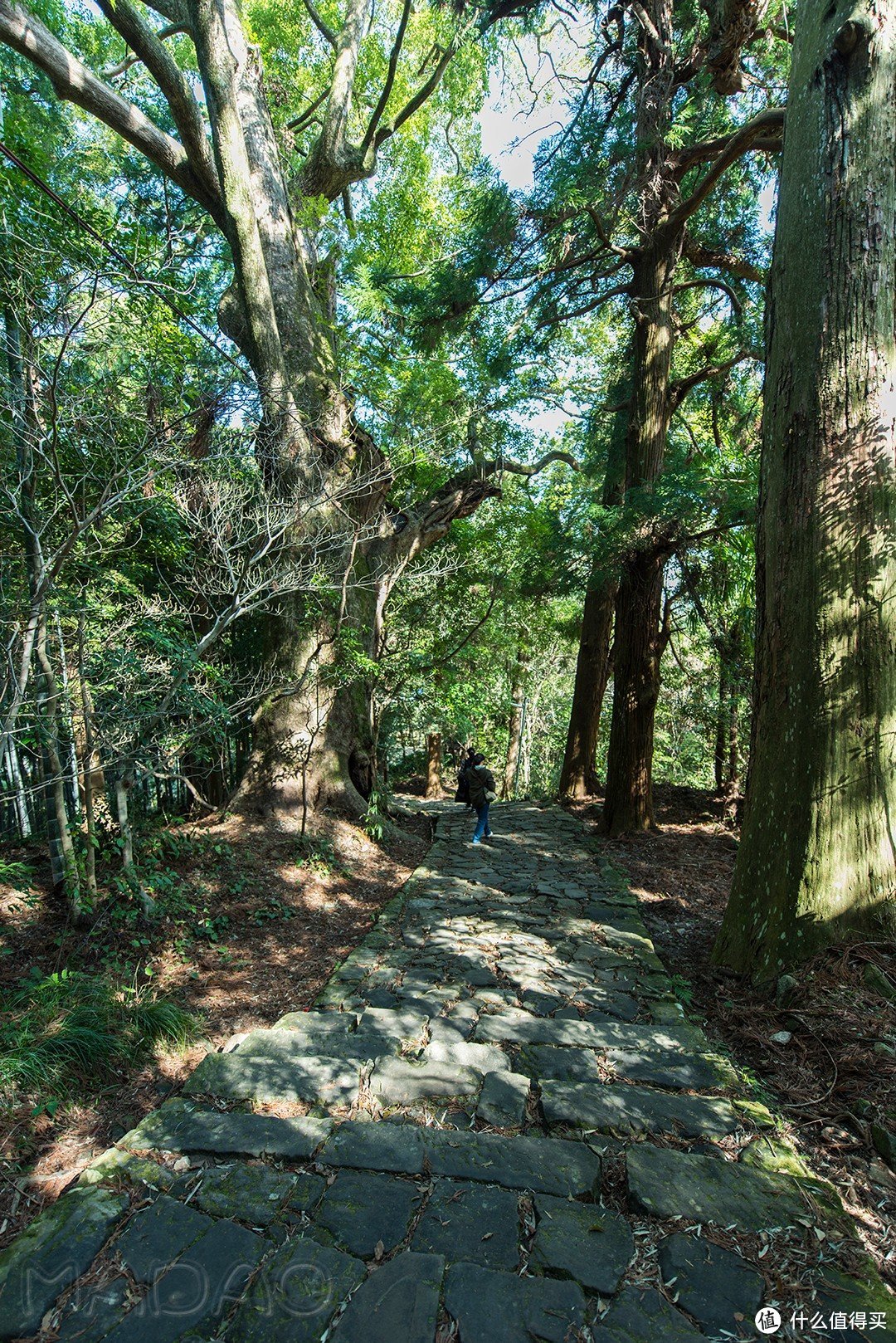 Day.4 熊野古道-熊野本宫大社-熊野那智大社-大阪