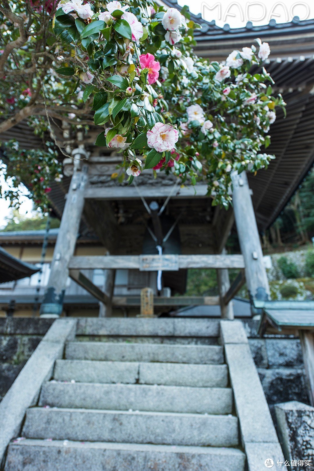 Day.4 熊野古道-熊野本宫大社-熊野那智大社-大阪