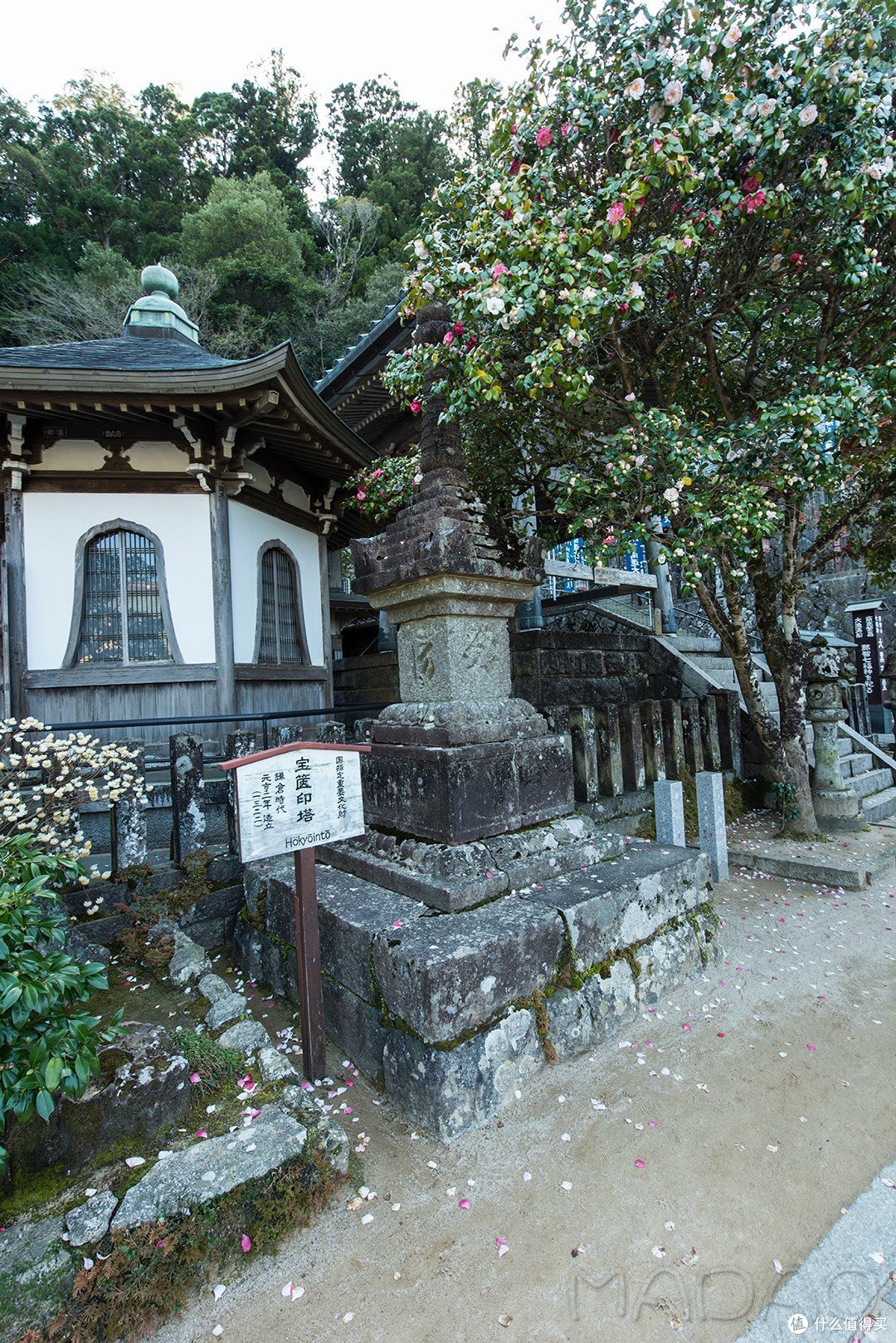 Day.4 熊野古道-熊野本宫大社-熊野那智大社-大阪