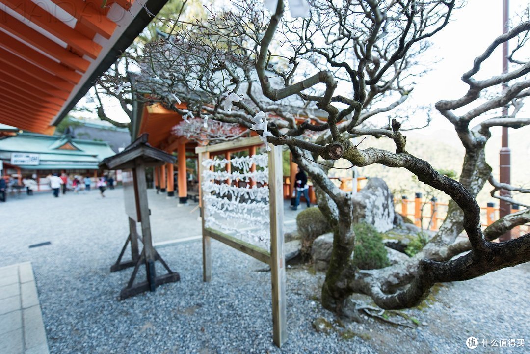 Day.4 熊野古道-熊野本宫大社-熊野那智大社-大阪