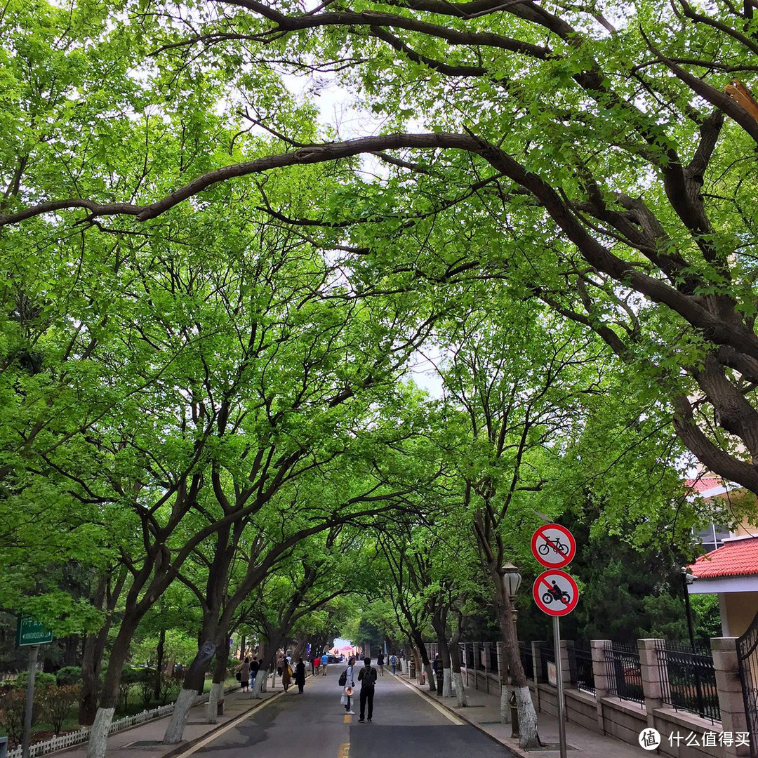 #热征##过五一#依山镇海，万象归怀之山东小记-夜登泰山，闪游青岛