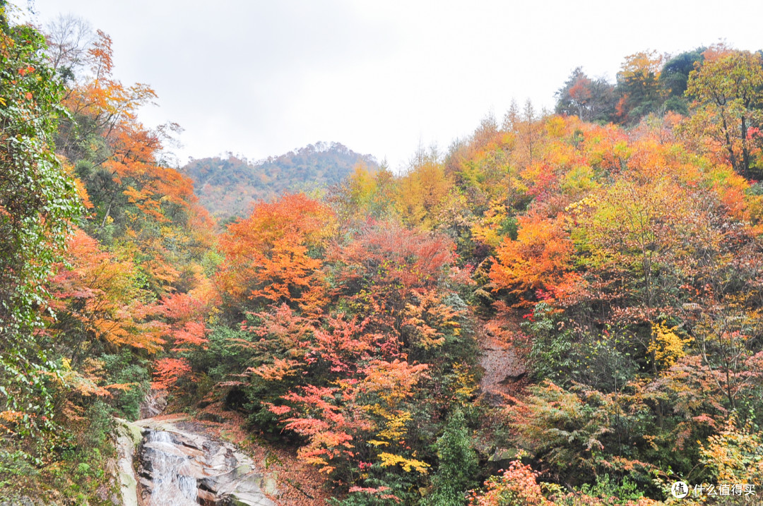 好景知时节，金秋看最美 - 山川险固，天府之国 - 四川 . 成都