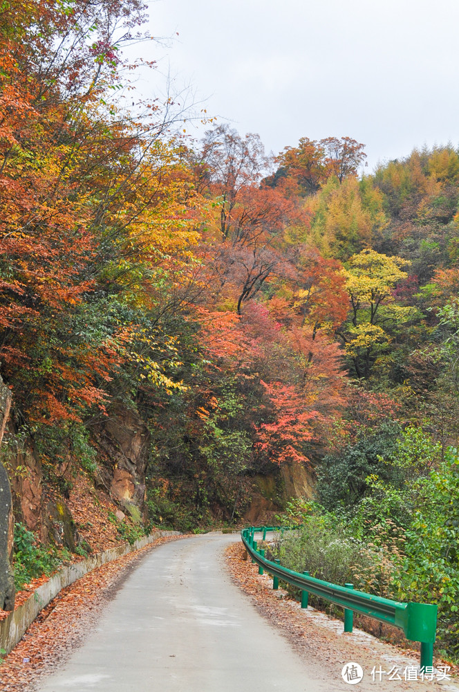 好景知时节，金秋看最美 - 山川险固，天府之国 - 四川 . 成都