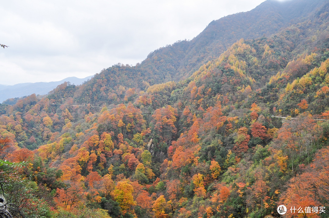 好景知时节，金秋看最美 - 山川险固，天府之国 - 四川 . 成都