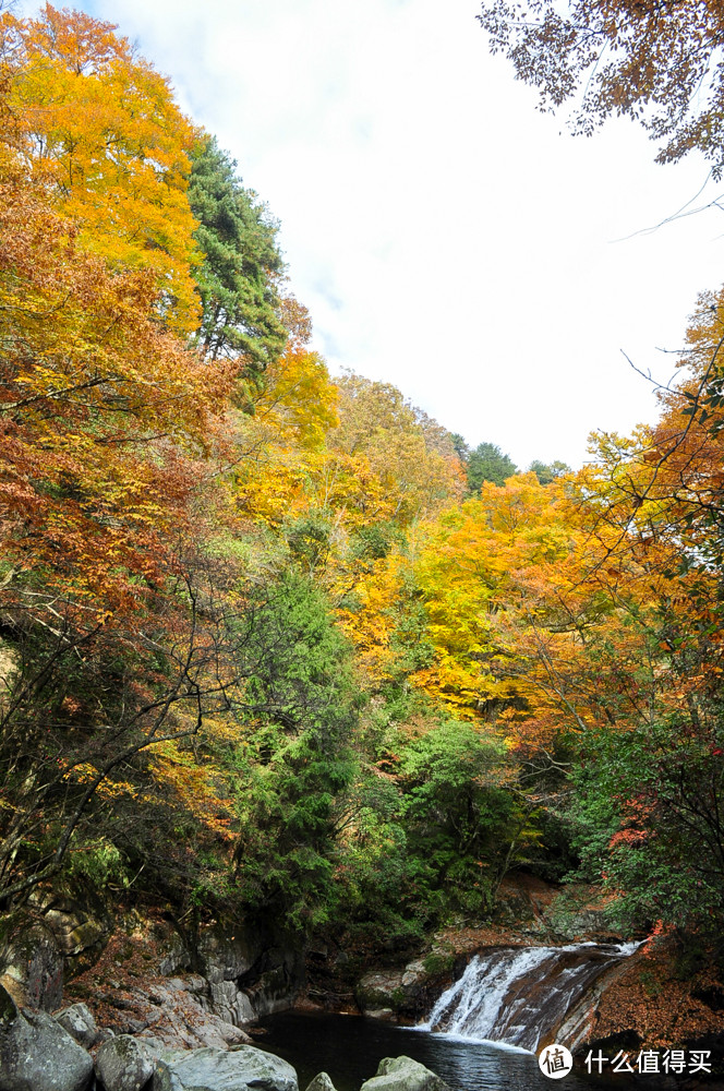 好景知时节，金秋看最美 - 山川险固，天府之国 - 四川 . 成都