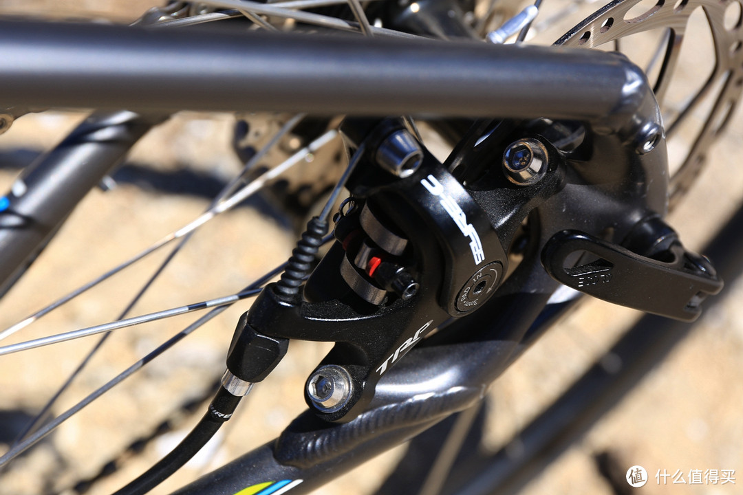 女王的新座驾: Specialized Dolce Elite 女式公路车