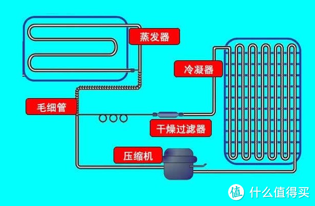 六一八买冰箱？看这一篇就够了，史上最全冰箱科普及选购指南