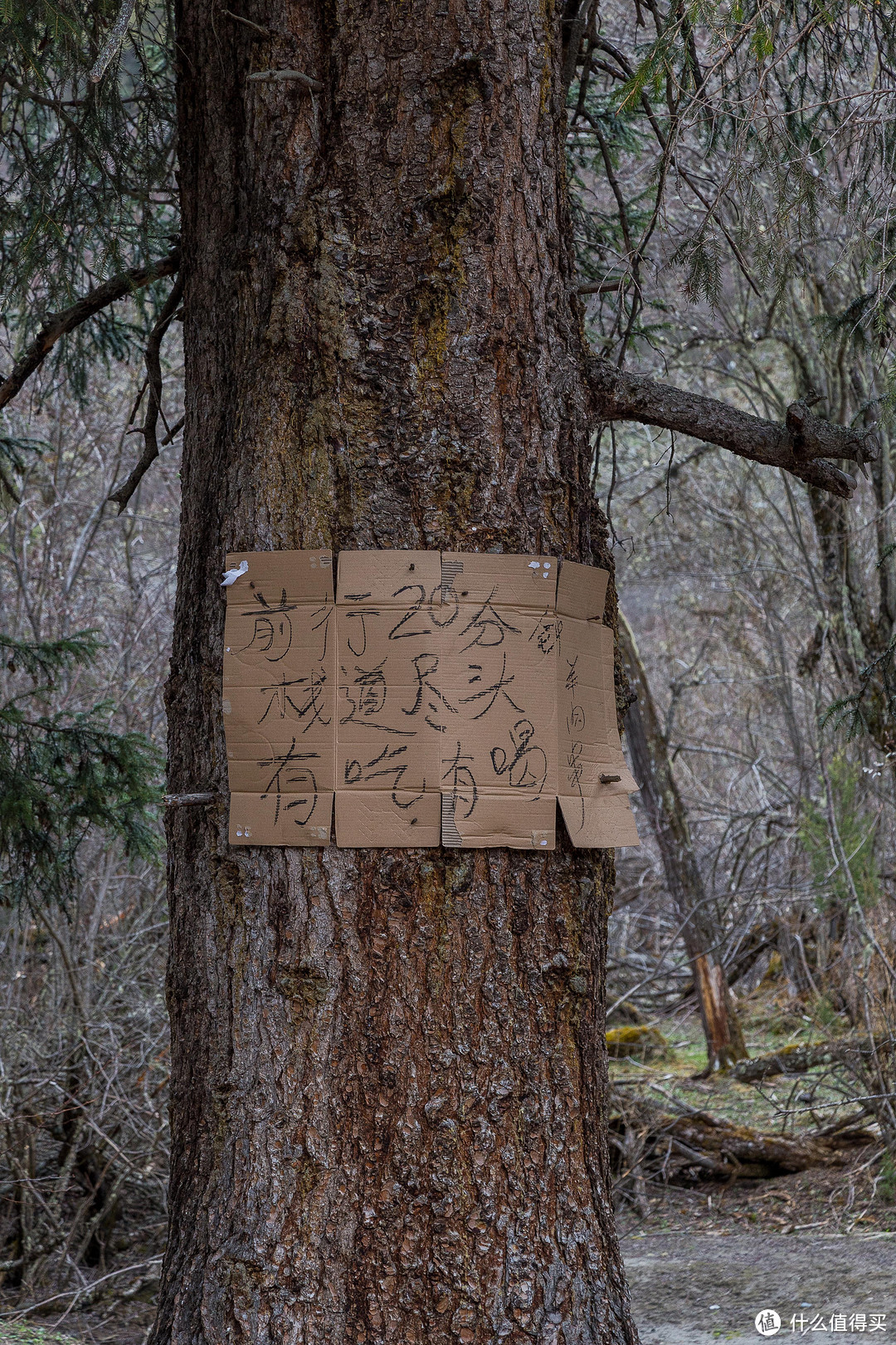 不同季节之四姑娘山的匆匆一瞥