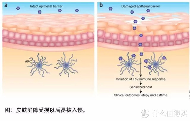 又油又干？—— 是你亲手毁掉了自己的油皮！