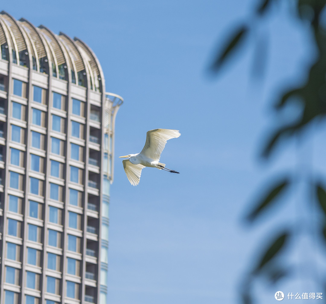 生活拮据的拍照师傅怎样在三亚市区浪