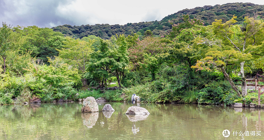 第七日 八坂神社，二年坂，三年坂，清水寺