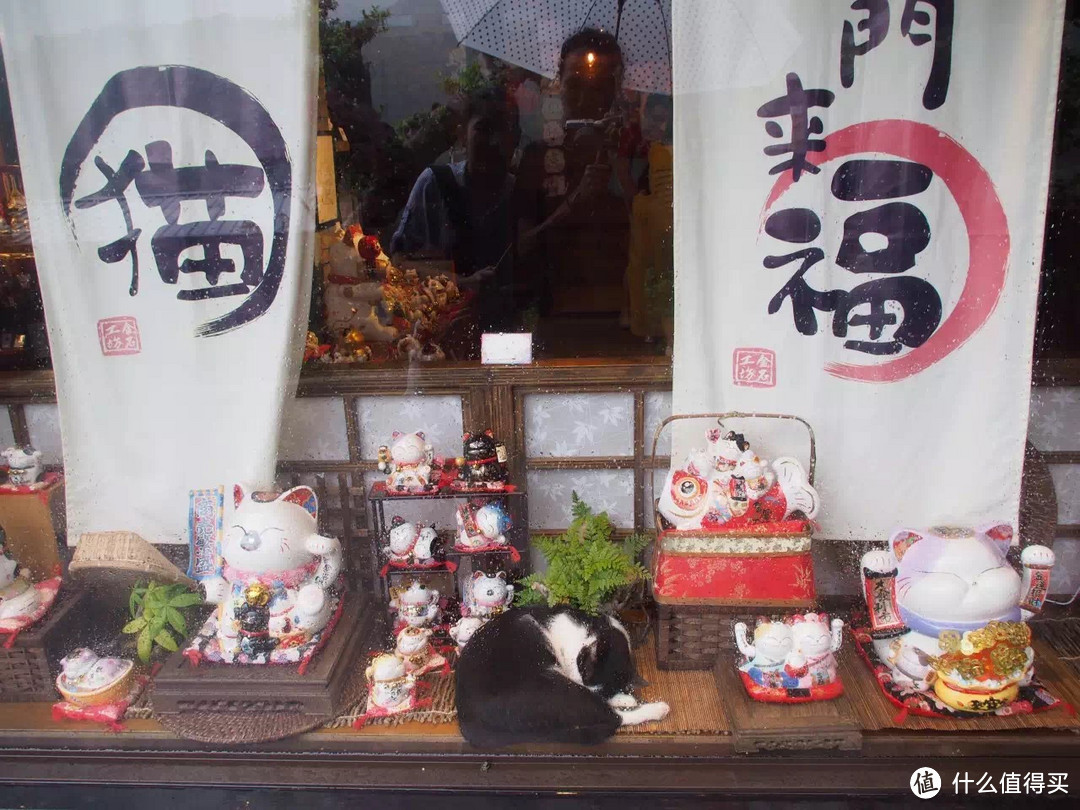 台湾自驾环岛(中)