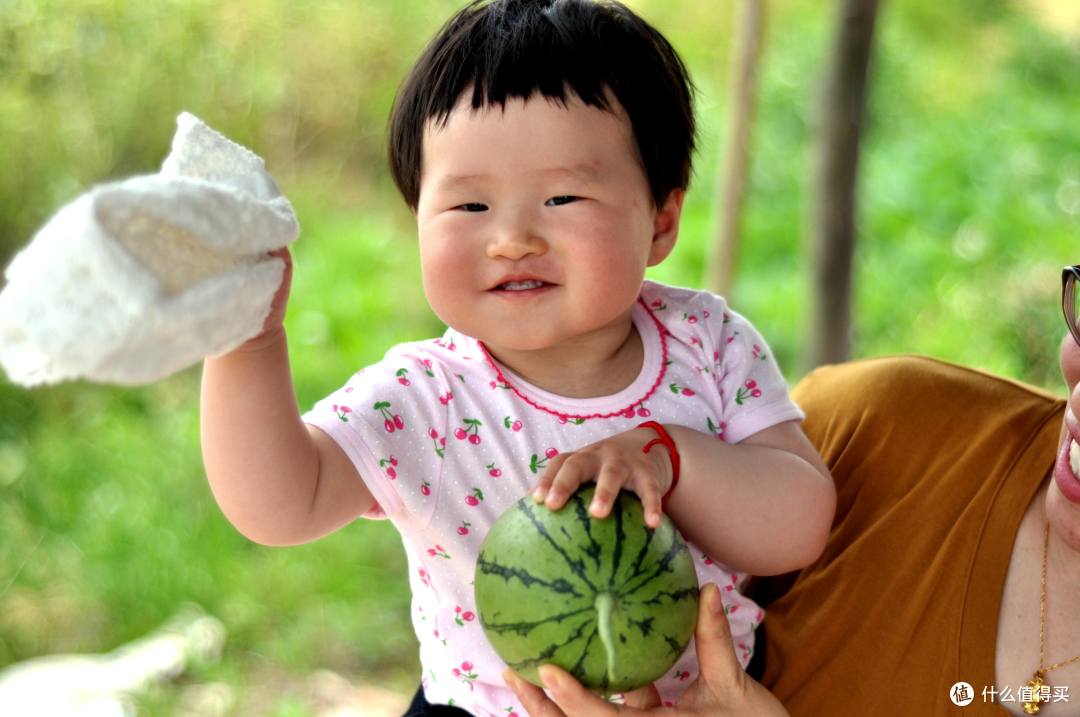 做一个合格的吃瓜群众,早春红玉瓜田尝鲜之旅。
