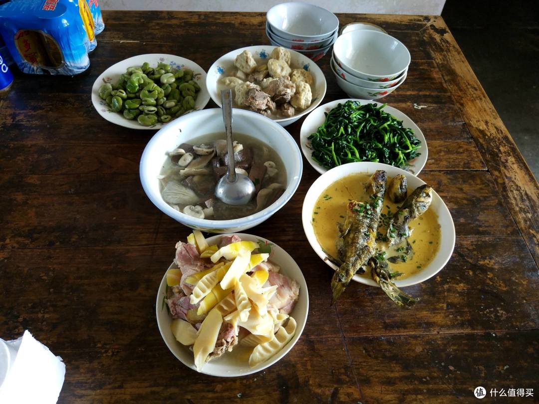 做一个合格的吃瓜群众,早春红玉瓜田尝鲜之旅。