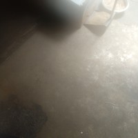 小米6使用总结(设置|识别|系统)