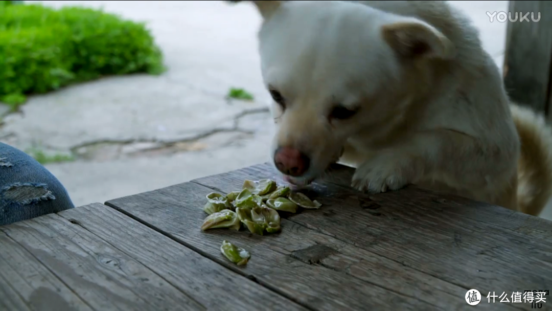 属于春笋和蚕豆的一周