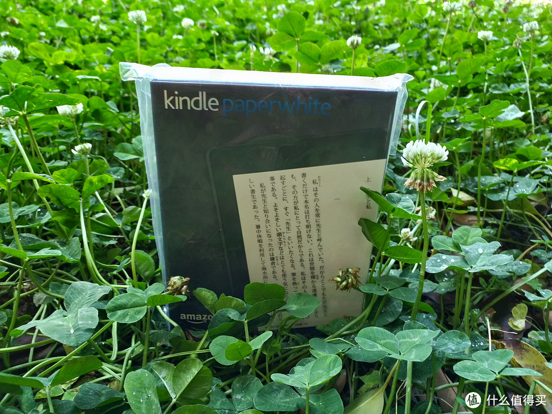 一键海淘，享受贝窝极速服务： Kindle Paperwhite 3日版晒单