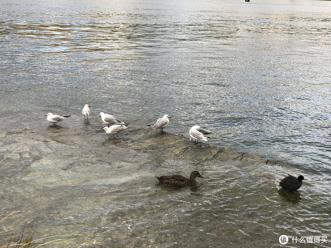 新西兰18天自驾，以蜜月为中心的信用卡、航空里程及酒店常旅客薅毛实践