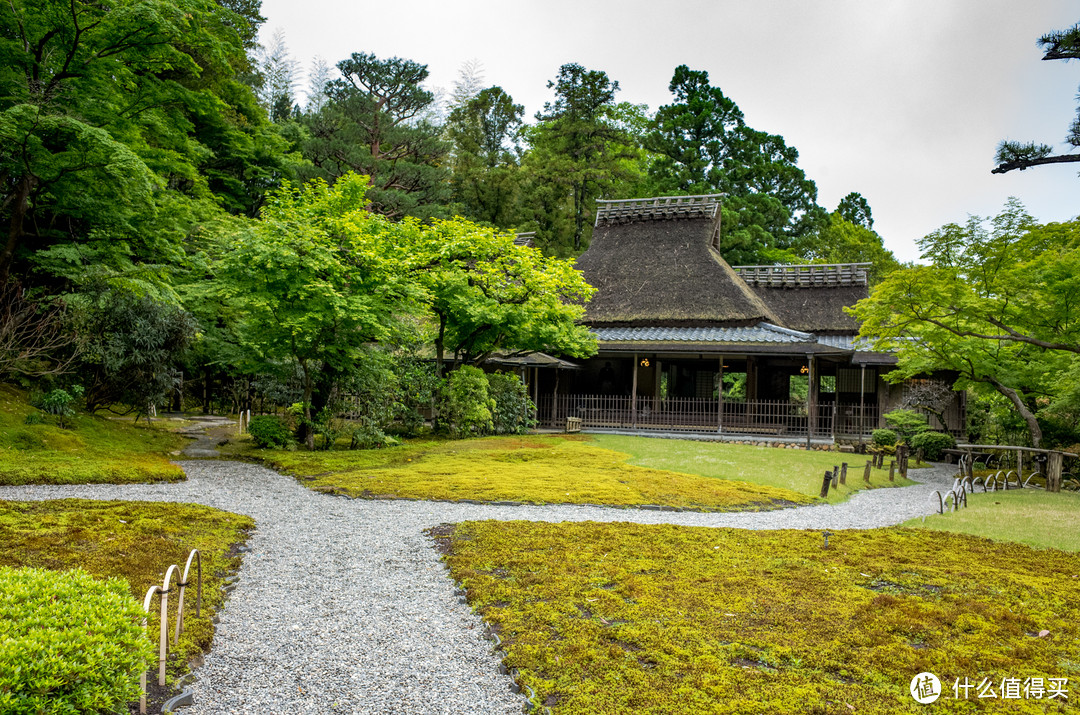 奈良周末两日游