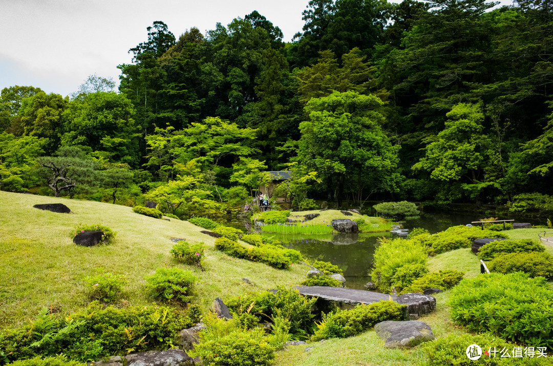 奈良周末两日游